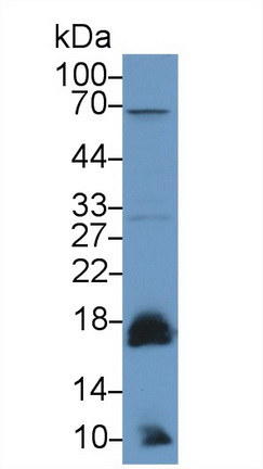 13353