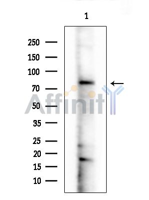 Валидация Affinity DF15522 - 11906