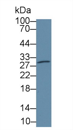 8515