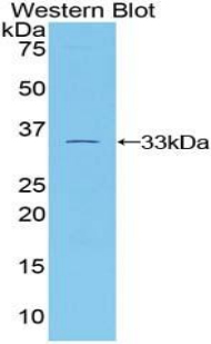 41488
