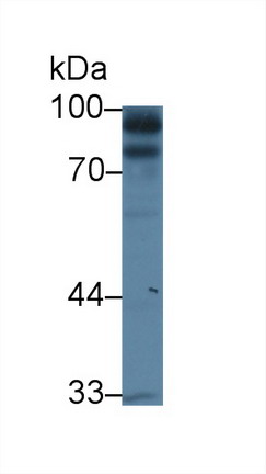 8605