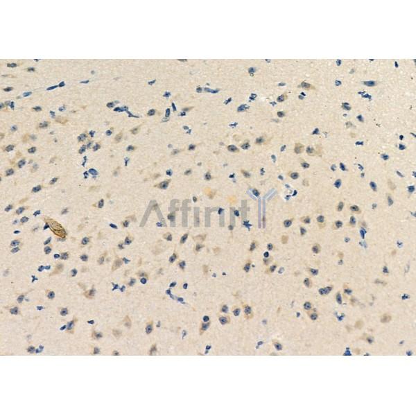 Валидация Affinity DF4626 - 16262
