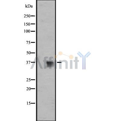 Валидация Affinity AF5252 - 2755