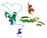 Zinc Finger Protein 257 (ZNF257)