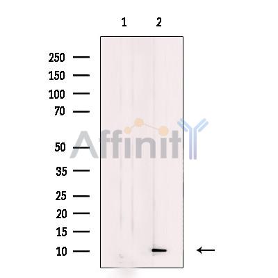 Валидация Affinity DF9628 - 22349