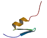 Zinc Finger Protein 479 (ZNF479)