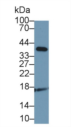 9413