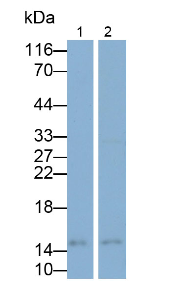 9102