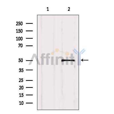Валидация Affinity DF6040 - 17258