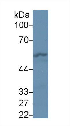 13347