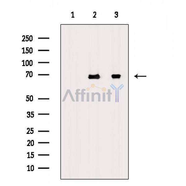 Валидация Affinity AF6722 - 3976