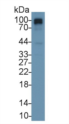 13360