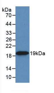 60500