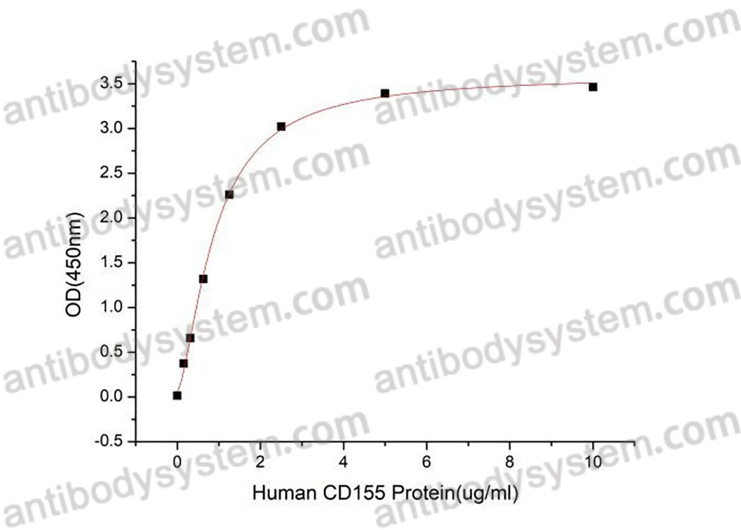 Валидация активности AntibodySystem AHD09001