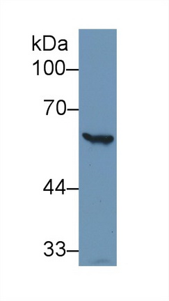 9422