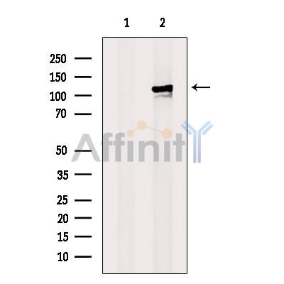 Валидация Affinity DF6716 - 18238