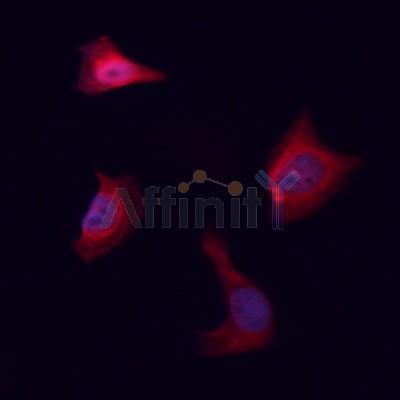 Валидация Affinity DF6285 - 17595