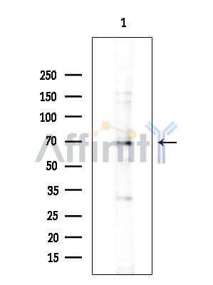 Валидация Affinity DF15476 - 11844