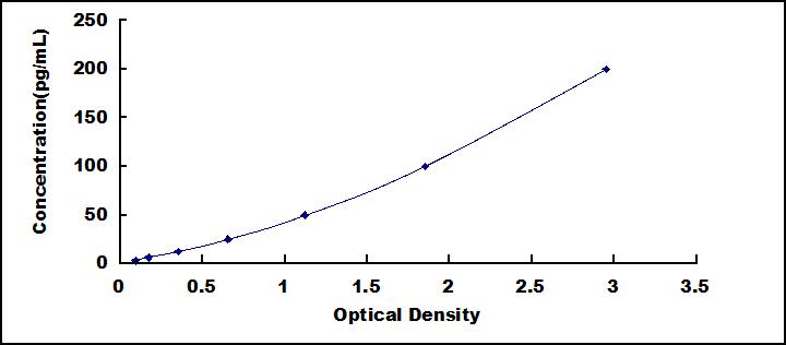 65092