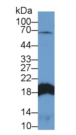 13394
