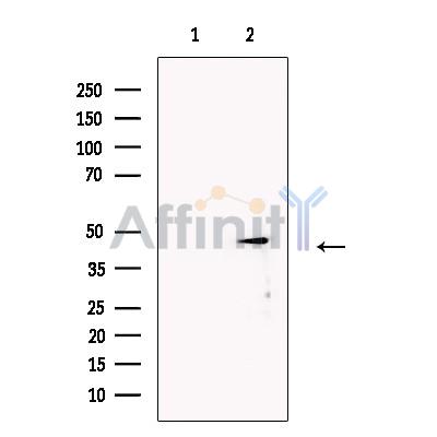 Валидация Affinity DF13738 - 9383
