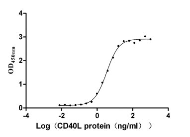 Функциональный ИФА: связывание CD40 с CD40L