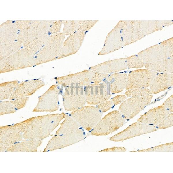 Валидация Affinity DF4851 - 16619