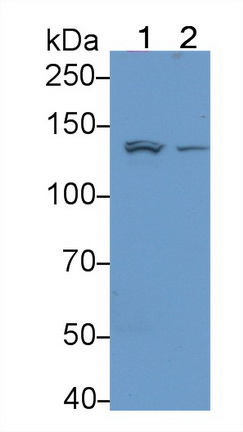 21792