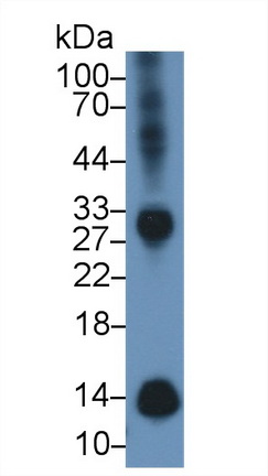 14765