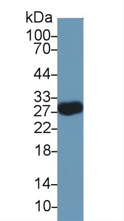 10301