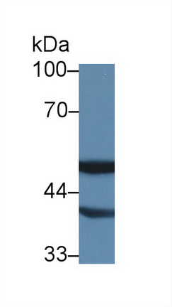 14115