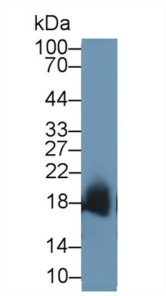 13373