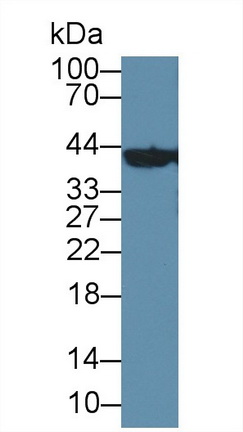 8874