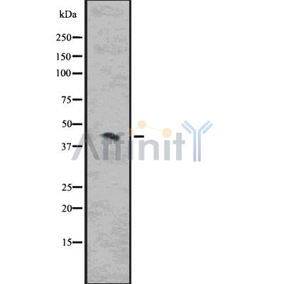 Валидация Affinity DF7538 - 19286