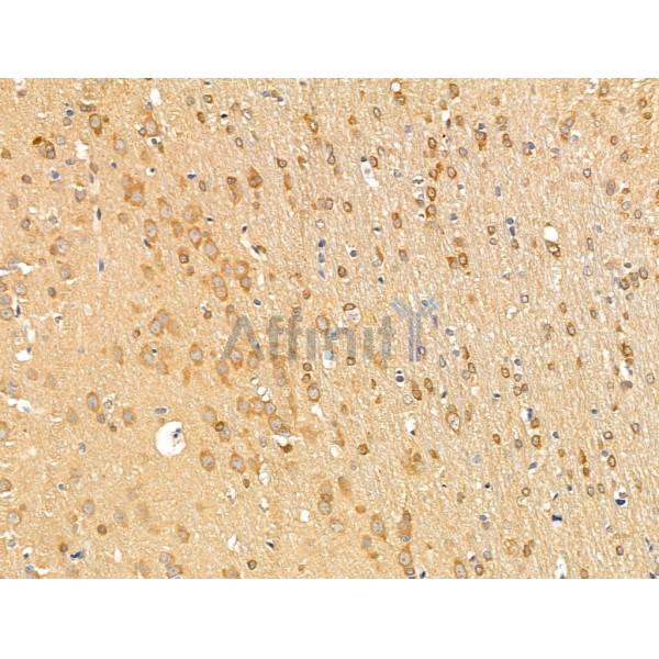 Валидация Affinity DF13698 - 9300