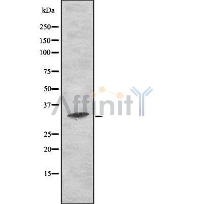 Валидация Affinity DF8410 - 20282