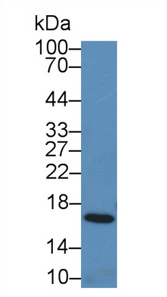 14780