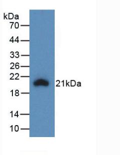 61132