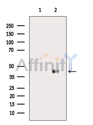 Валидация Affinity AF6514 - 3844