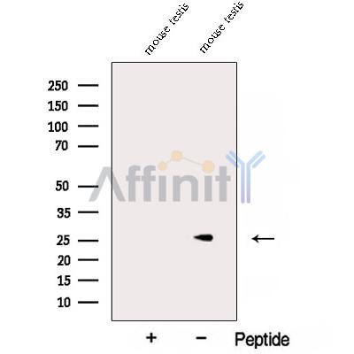 Валидация Affinity DF12829 - 7544