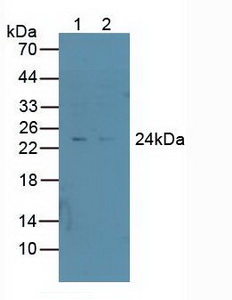 5612