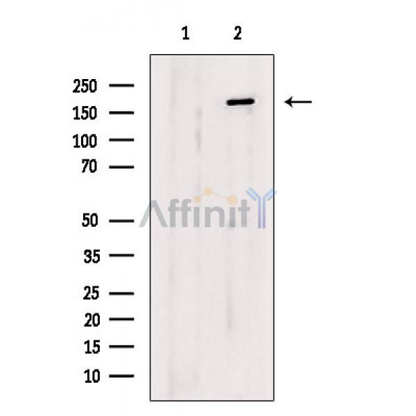 Валидация Affinity AF6807 - 4050