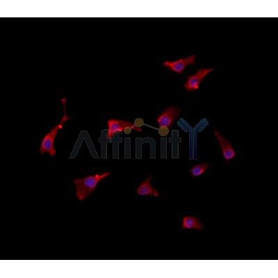 Валидация Affinity DF4522 - 16091