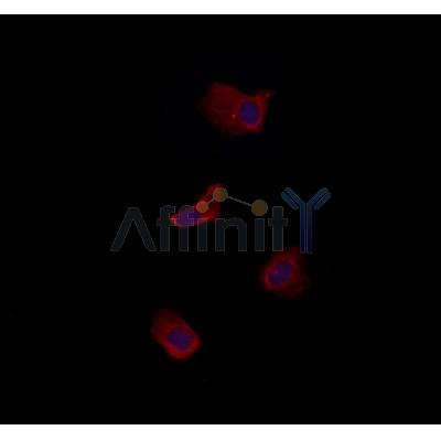 Валидация Affinity DF3877 - 15035