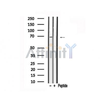Валидация Affinity AF7714 - 4405