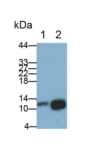 36713