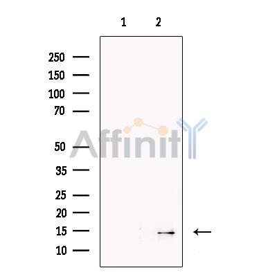 Валидация Affinity DF13301 - 8440