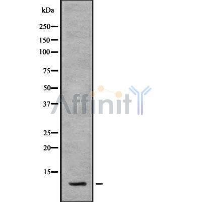 Валидация Affinity DF8764 - 20792