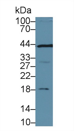 13333