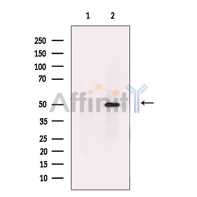 Валидация Affinity DF13621 - 9142